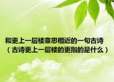 和更上一层楼意思相近的一句古诗（古诗更上一层楼的更指的是什么）