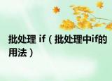 批处理 if（批处理中if的用法）