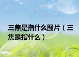 三焦是指什么图片（三焦是指什么）