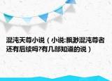 混沌天尊小说（小说:飘渺混沌尊者还有后续吗?有几部知道的说）