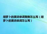 胡萝卜的英语单词复数怎么写（胡萝卜的英语单词怎么写）