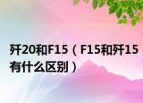 歼20和F15（F15和歼15有什么区别）