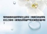 绿色始祖幼龙的缰绳怎么获得（琉璃石幼龙缰绳巨石之核老二掉落的请问是PT模式掉落还是H模）