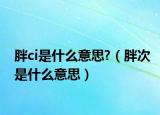 胖ci是什么意思?（胖次是什么意思）