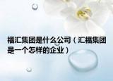 福汇集团是什么公司（汇福集团是一个怎样的企业）