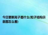 今日更新离子是什么(粒子结构示意图怎么看)