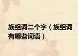 族组词二个字（族组词有哪些词语）