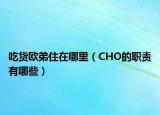 吃货欧弟住在哪里（CHO的职责有哪些）
