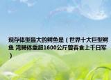 现存体型最大的鳄鱼是（世界十大巨型鳄鱼 湾鳄体重超1600公斤曾吞食上千日军）