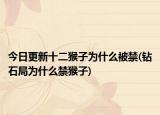 今日更新十二猴子为什么被禁(钻石局为什么禁猴子)