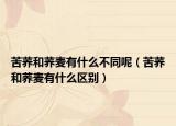 苦荞和荞麦有什么不同呢（苦荞和荞麦有什么区别）