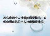 怎么查询个人社保的缴费情况（如何查看自己的个人社保缴费情况）