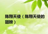 陈翔天使（陈翔天使的翅膀）