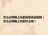 怎么分辨脸上长的冻疮还是痘痘（怎么分辨脸上长的什么斑）