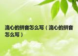 流心的拼音怎么写（流心的拼音怎么写）
