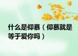 什么是仰慕（仰慕就是等于爱你吗）