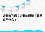 企鹅会飞吗（企鹅的翅膀主要用来干什么）