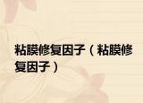 粘膜修复因子（粘膜修复因子）