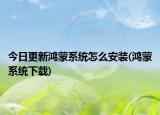 今日更新鸿蒙系统怎么安装(鸿蒙系统下载)