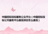 中国招标投标服务公众平台（中国招标投标公共服务平台查找项目怎么查找）