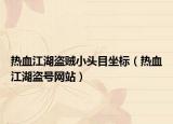 热血江湖盗贼小头目坐标（热血江湖盗号网站）