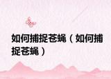 如何捕捉苍蝇（如何捕捉苍蝇）