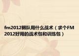 fm2012弱队用什么战术（求个FM2012好用的战术包和训练包）