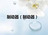 制动器（制动器）
