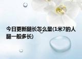 今日更新腿长怎么量(1米7的人腿一般多长)