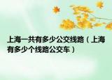 上海一共有多少公交线路（上海有多少个线路公交车）