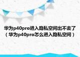 华为p40pro进入隐私空间出不去了（华为p40pro怎么进入隐私空间）