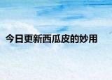 今日更新西瓜皮的妙用