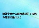 限韩令是什么原因造成的（限韩令的意义是什么）