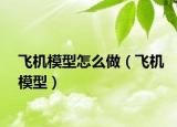飞机模型怎么做（飞机模型）