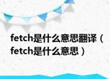 fetch是什么意思翻译（fetch是什么意思）