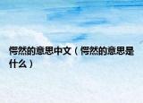 愕然的意思中文（愕然的意思是什么）