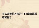 石头盆景花卉图片（ST啤酒花后市如何）