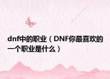 dnf中的职业（DNF你最喜欢的一个职业是什么）