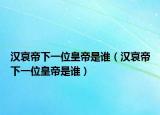 汉哀帝下一位皇帝是谁（汉哀帝下一位皇帝是谁）