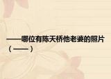 ——哪位有陈天桥他老婆的照片（——）