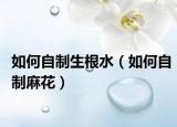 如何自制生根水（如何自制麻花）