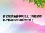 新加坡机场名字叫什么（新加坡有几个机场名字分别是什么）