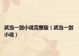武当一剑小说完整版（武当一剑 小说）