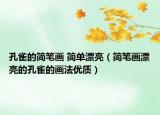 孔雀的简笔画 简单漂亮（简笔画漂亮的孔雀的画法优质）