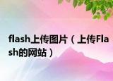 flash上传图片（上传Flash的网站）