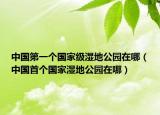 中国第一个国家级湿地公园在哪（中国首个国家湿地公园在哪）