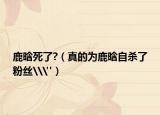 鹿晗死了?（真的为鹿晗自杀了粉丝\