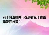 花千骨直播间（在哪看花千骨直播啊在线等）