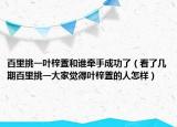 百里挑一叶梓萱和谁牵手成功了（看了几期百里挑一大家觉得叶梓萱的人怎样）