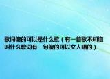 歌词傻的可以是什么歌（有一首歌不知道叫什么歌词有一句傻的可以女人唱的）